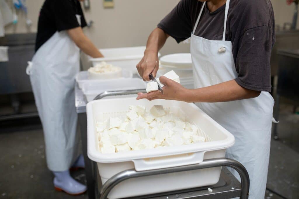 Are Cheese Curds Healthy