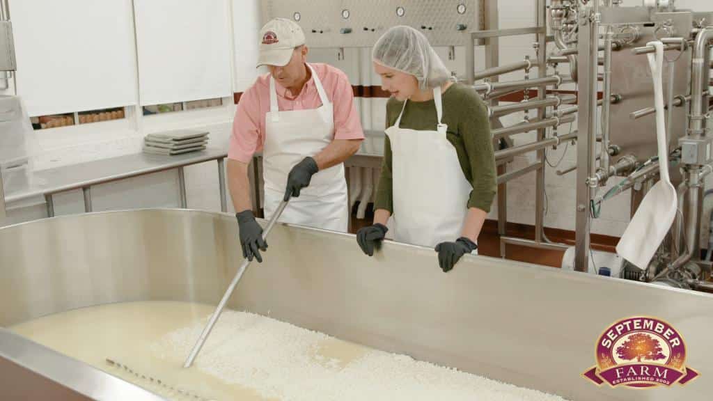 making cheese on the food network at september farm cheese