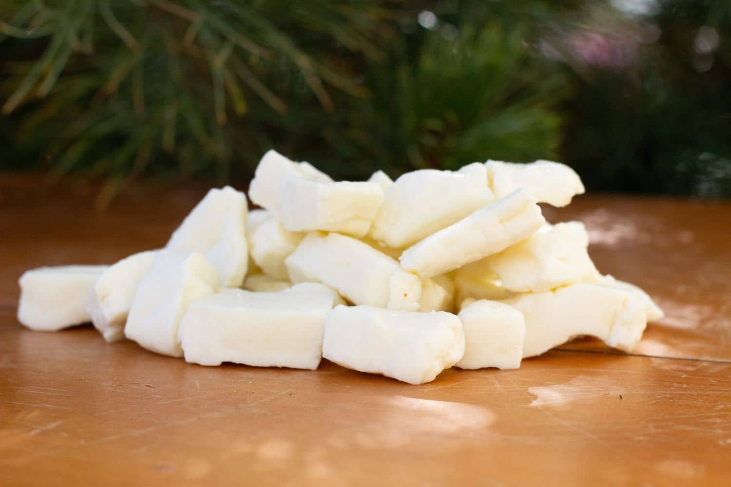 Caring for Curds | How Long Do Cheese Curds Last and More