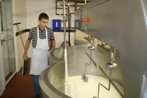 holland cheesemaker