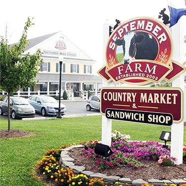 farm fresh cheese experience at our september farm