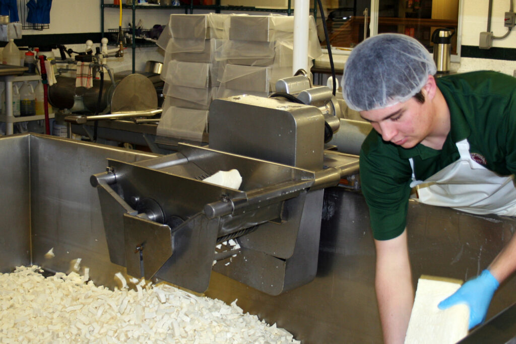 what are cheese curds- milling